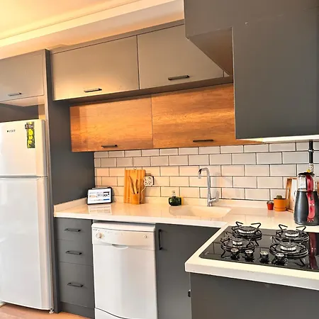Yeni Denize Yakin Minimalist Evler